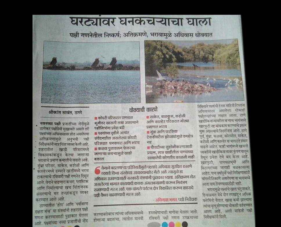 Destruction of Mangroves at Thane Creek