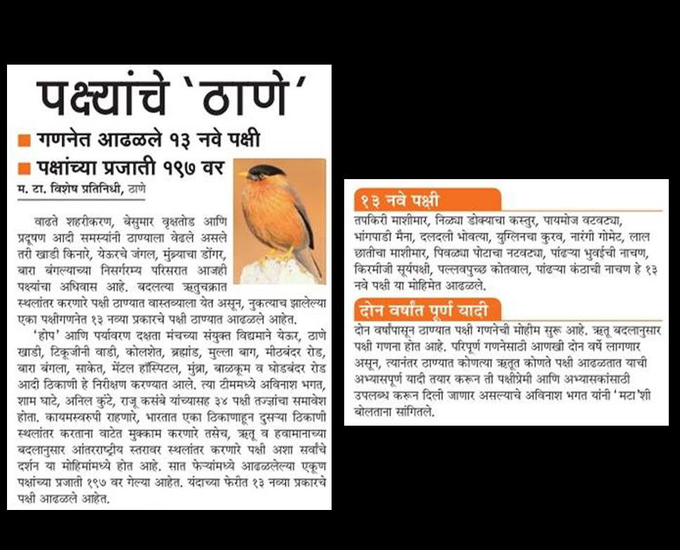 Birds of Thane - Thane Bird