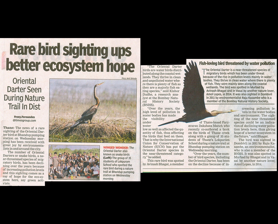 Rare Birds at Thane Creek