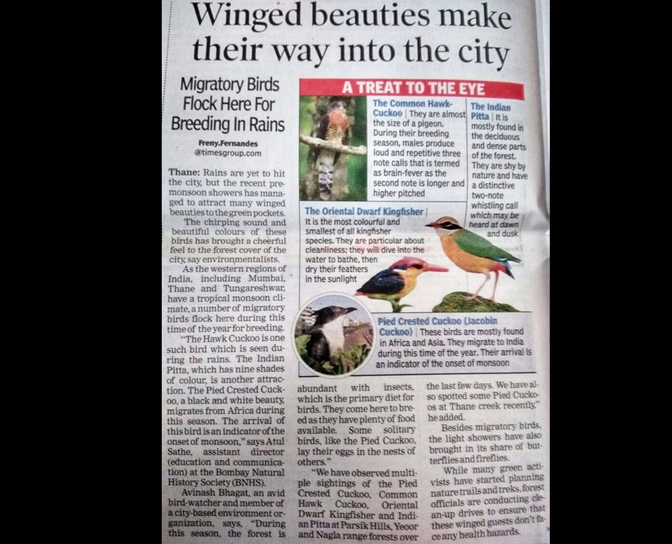 Thane Bird Count