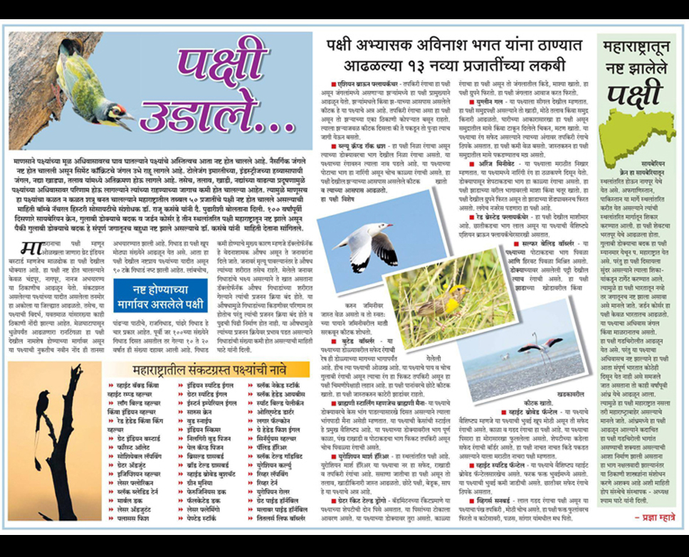 Birds of Thane - Thane Bird Count